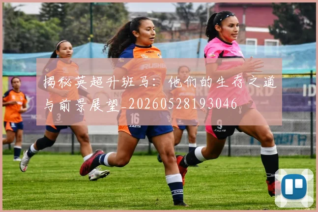 揭秘英超升班马：他们的生存之道与前景展望_20260528193046